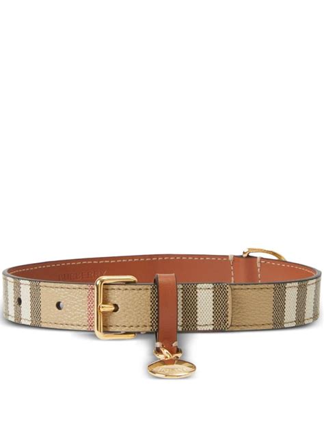 burberry halsband hund|Kleines Hundehalsband in Check (Vintage .